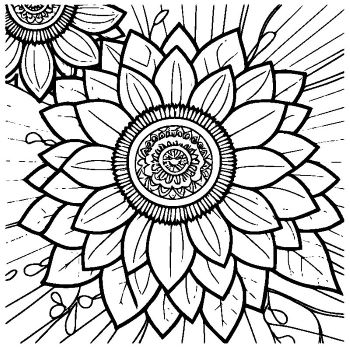 大人向けマンダラ風「花マンダラ」の塗り絵19