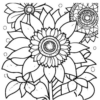 大人向けマンダラ風「花マンダラ」の塗り絵２