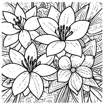 大人向けマンダラ風「花マンダラ」の塗り絵３