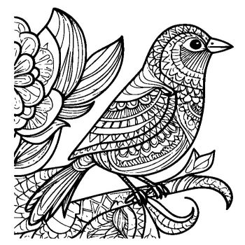 大人向けマンダラ風「鳥」の塗り絵1