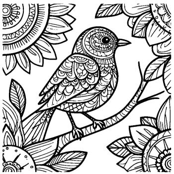 大人向けマンダラ風「鳥」の塗り絵2