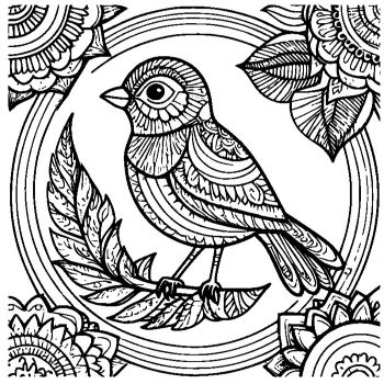 大人向けマンダラ風「鳥」の塗り絵3